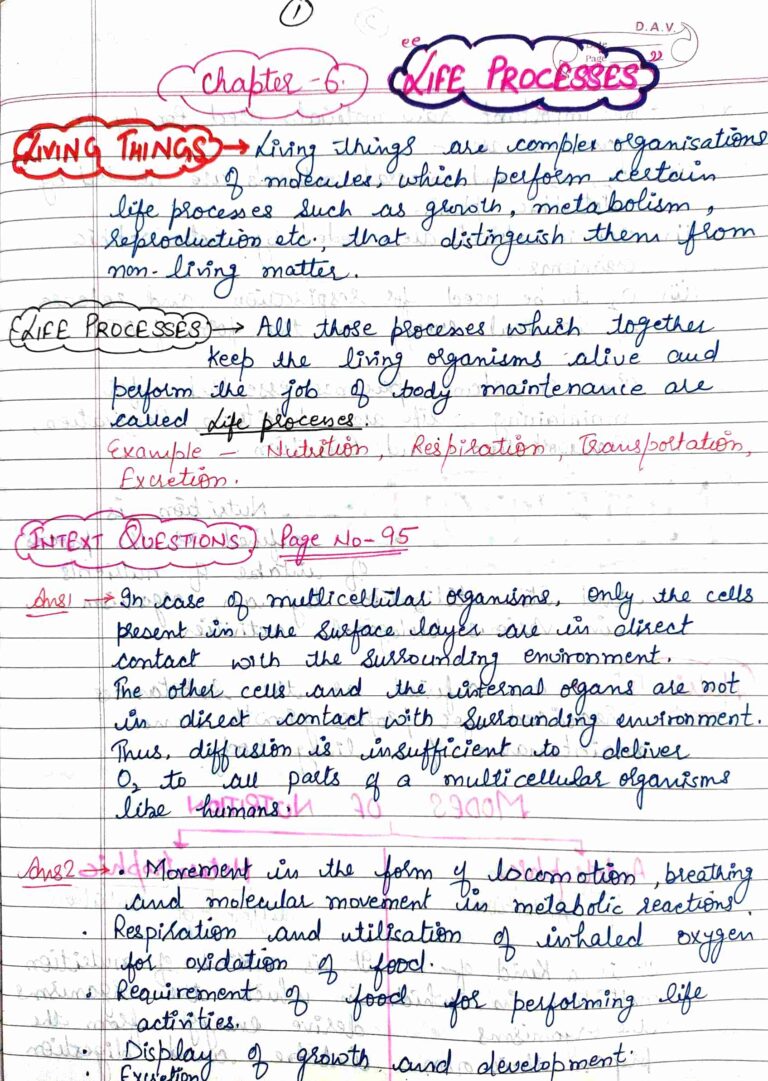 Ch 6 life processes class 10 notes