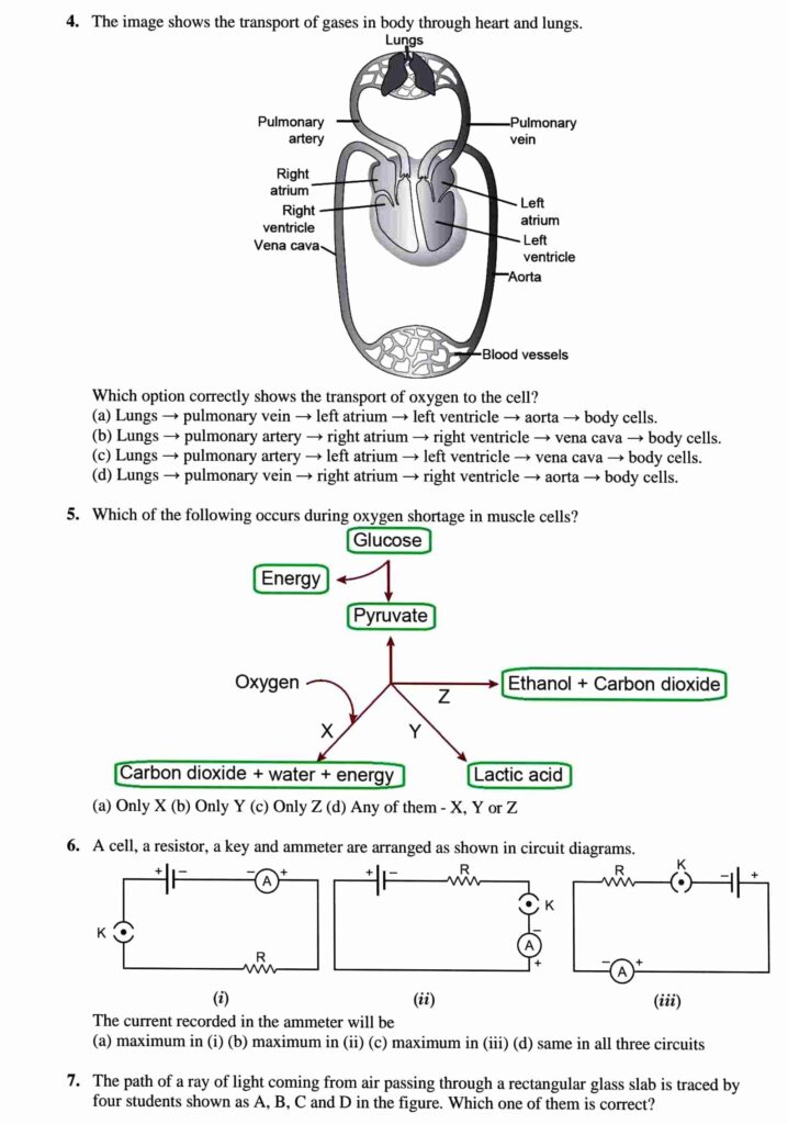 CBSE Class 10 Science sample paper for board exam 2023 with solutions