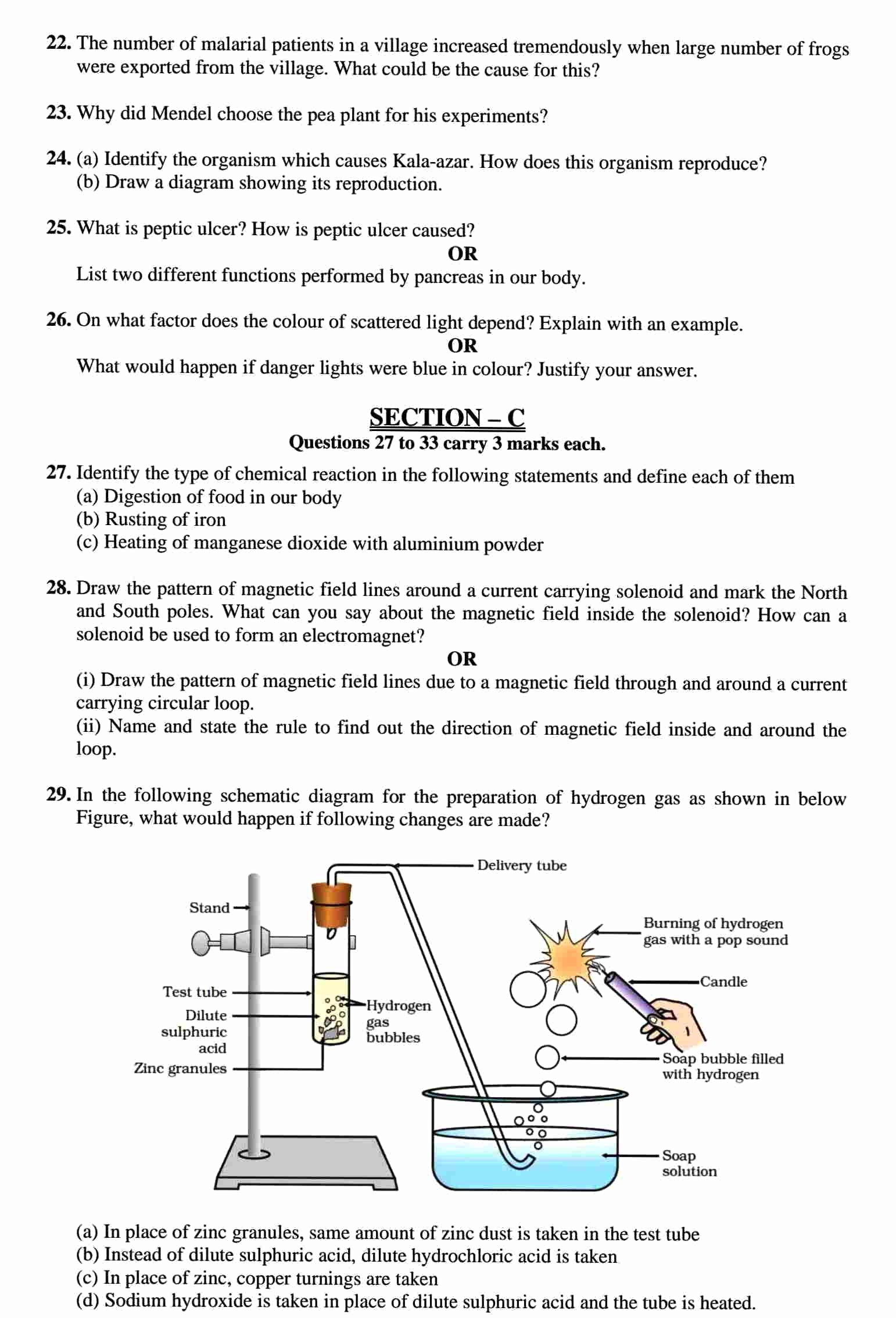 Paper-3 | CBSE Class 10 Science Sample Paper For Board Exam 2023 With ...