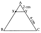 Triangles Class 10 Extra Questions