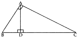 Triangles Class 10 Extra Questions